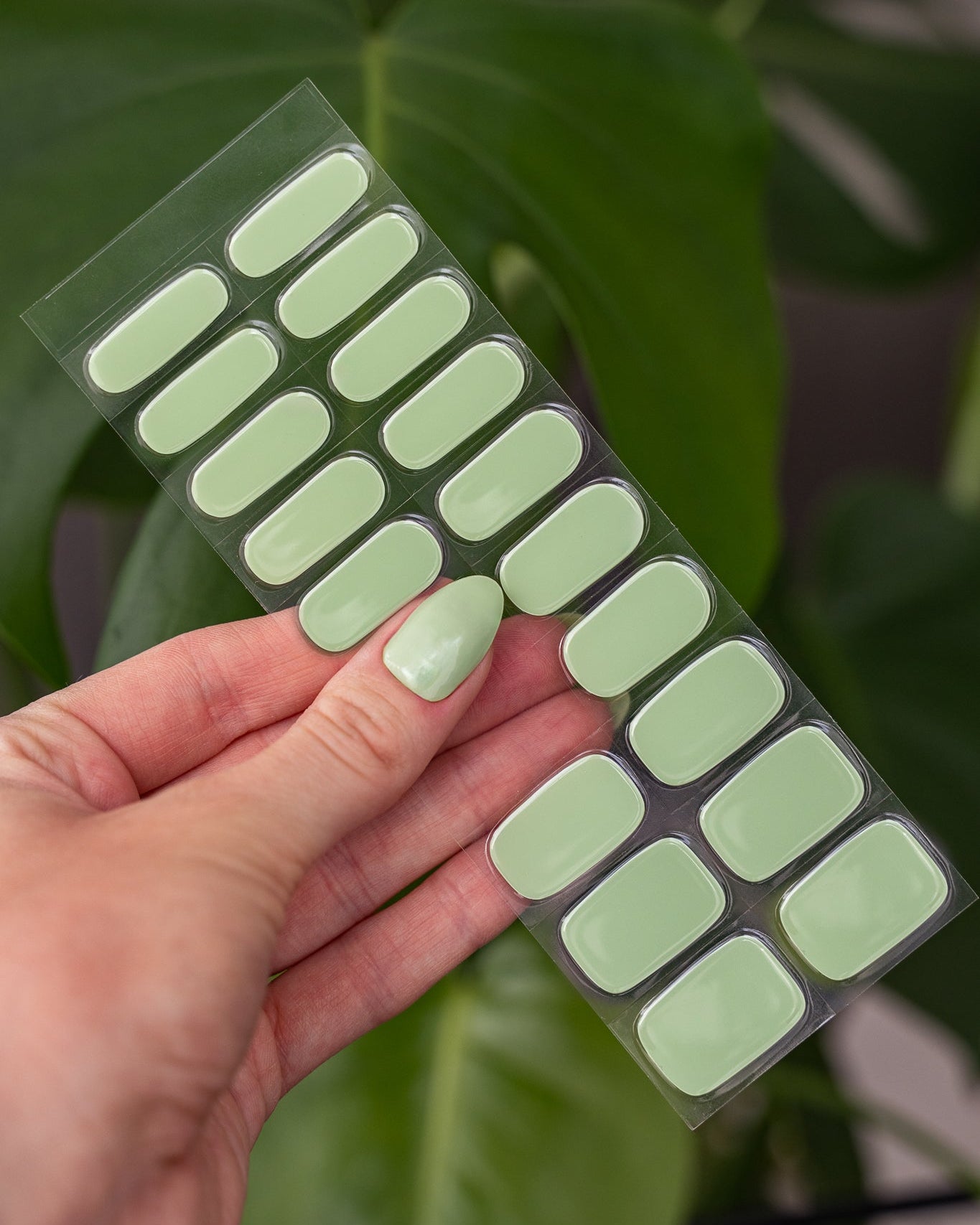 Glossy Gel - Mint Sorbet - Gel Límmiðar